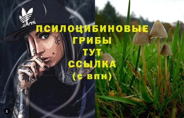 спиды Баксан